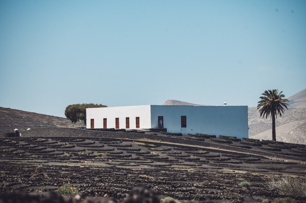 Wir unternehmen eine geführte Wandertour auf Lanzarote in La Geria von der Bodega Rubicón hoch zum Montaña de Guardilama und auf der Rückseite wieder zurück zur Bodega wo ein super erfrischender Weißwein auf uns wartet.