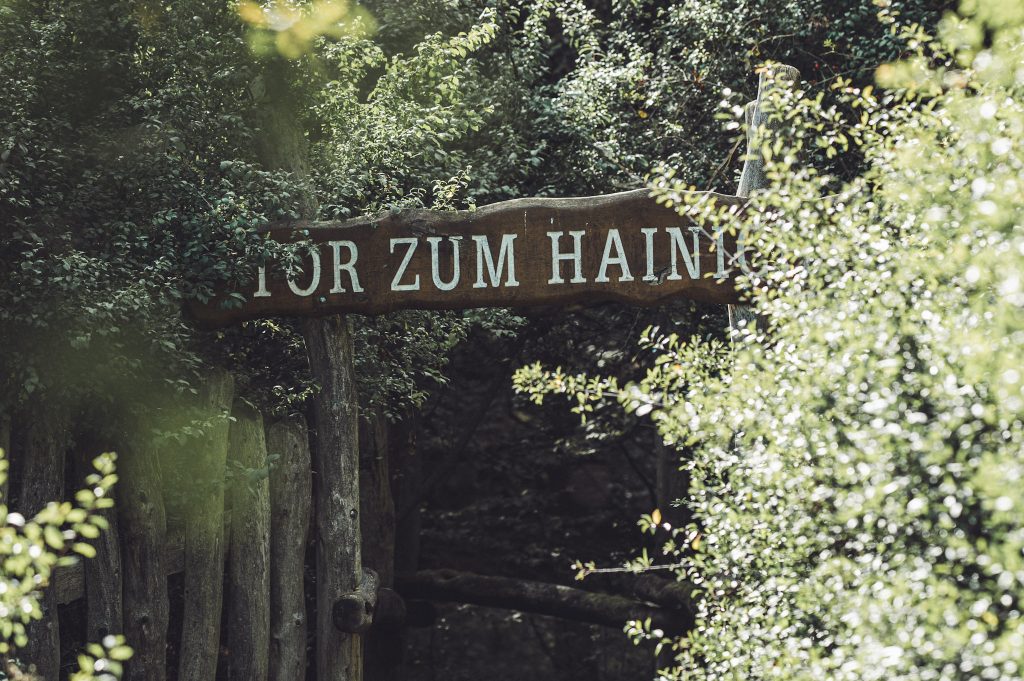 Tor zum Nationalpark Hainich in Thüringen