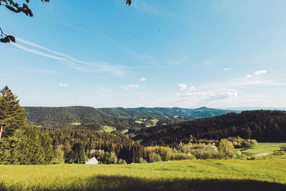 Blick über die Schwarzwald-Berge von Sandras Bergstation bei Sonnenschein mit grüner Wiese im Vordergrund