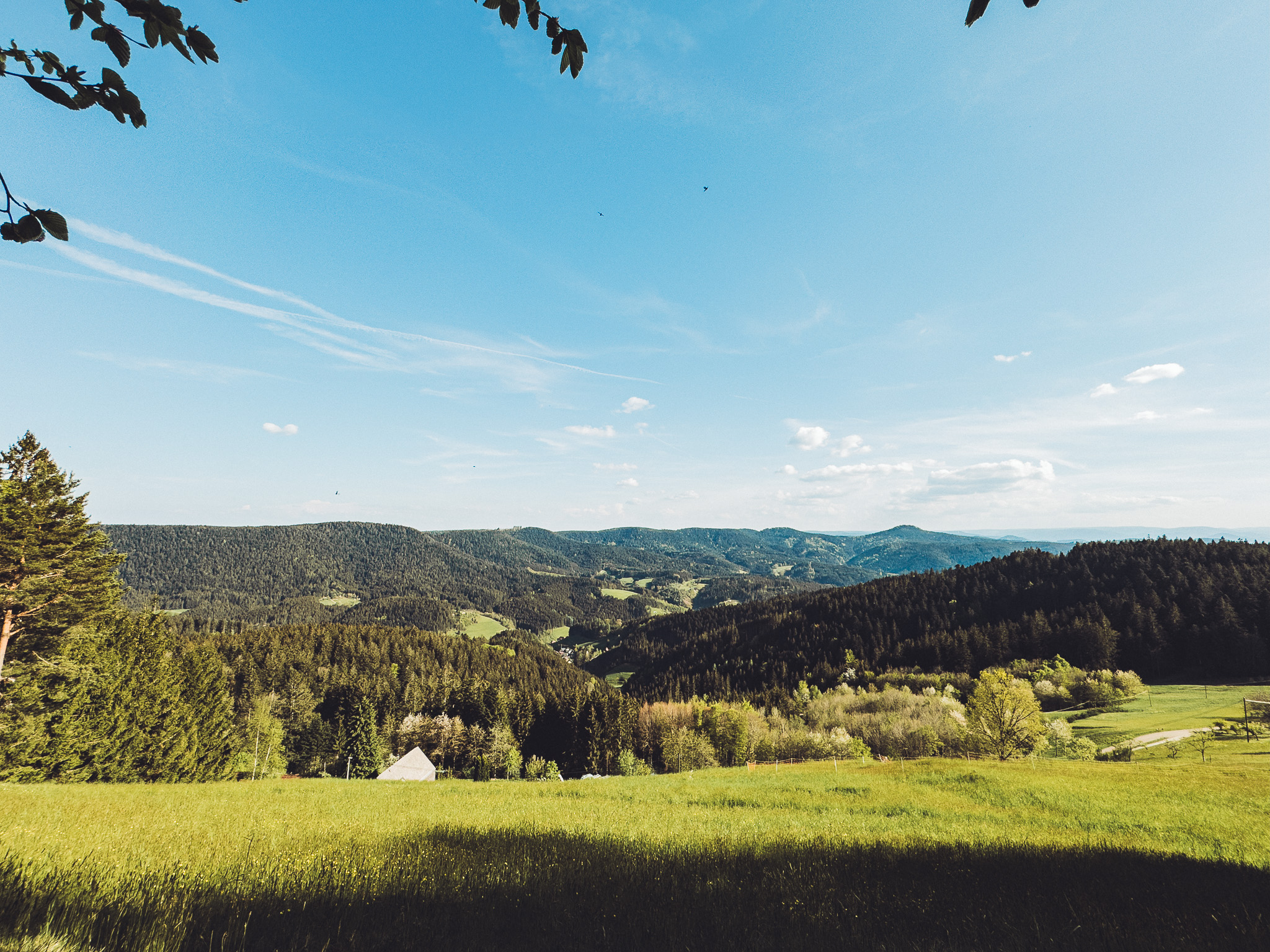Blick über die Schwarzwald-Berge von Sandras Bergstation bei Sonnenschein mit grüner Wiese im Vordergrund