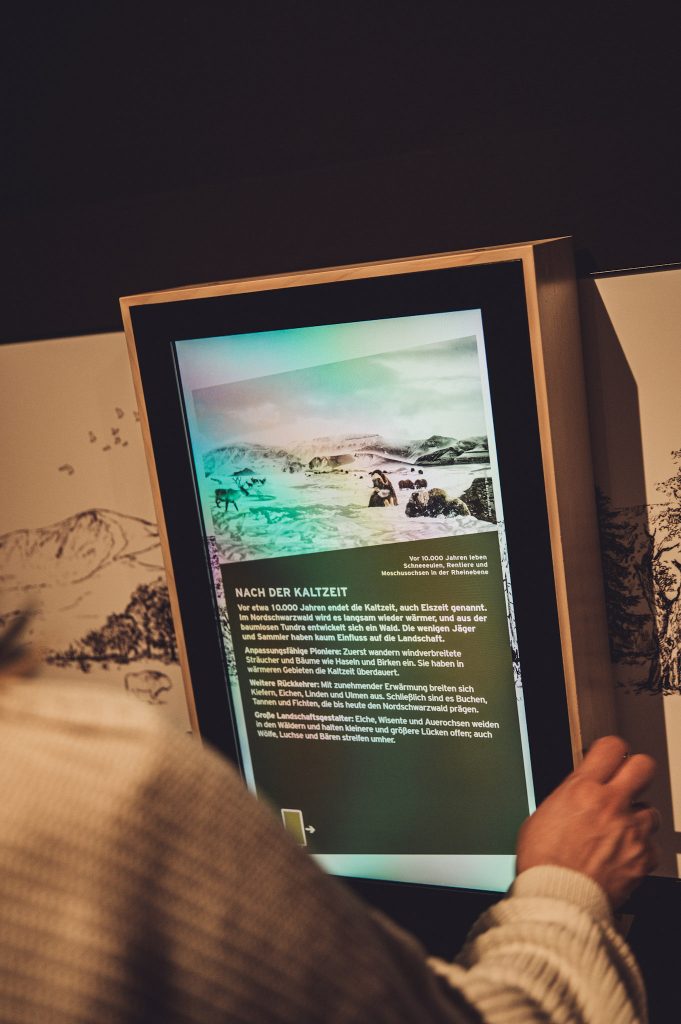 Digitale Infotafel zur Kaltzeit im Nationalparkzentrum Schwarzwald – interaktive Wissensvermittlung zur Landschaftsentwicklung