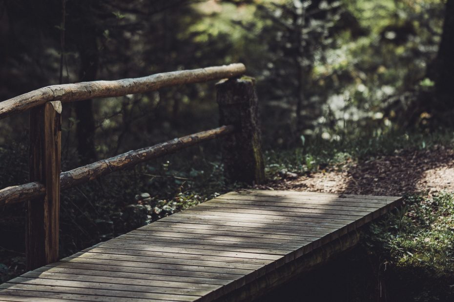 Holzbrücke im Wald am Heimatpfad bei Kniebis im Schwarzwald