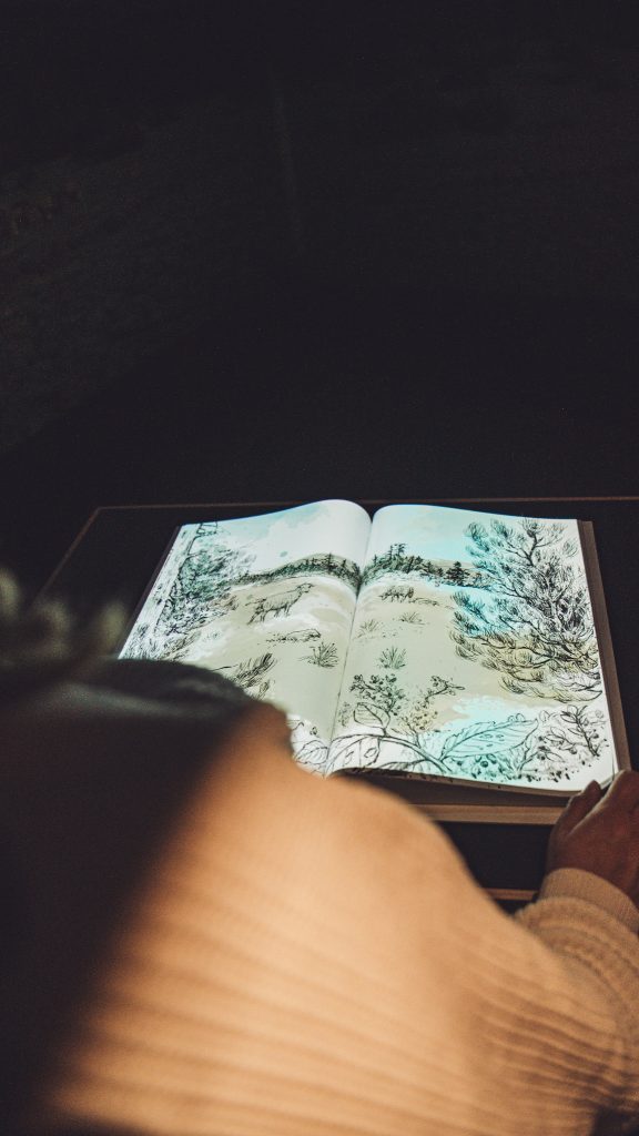 Interaktives Projektionsbuch in der Ausstellung des Nationalparkzentrums Schwarzwald – Verbindung von Technik und Naturwissen