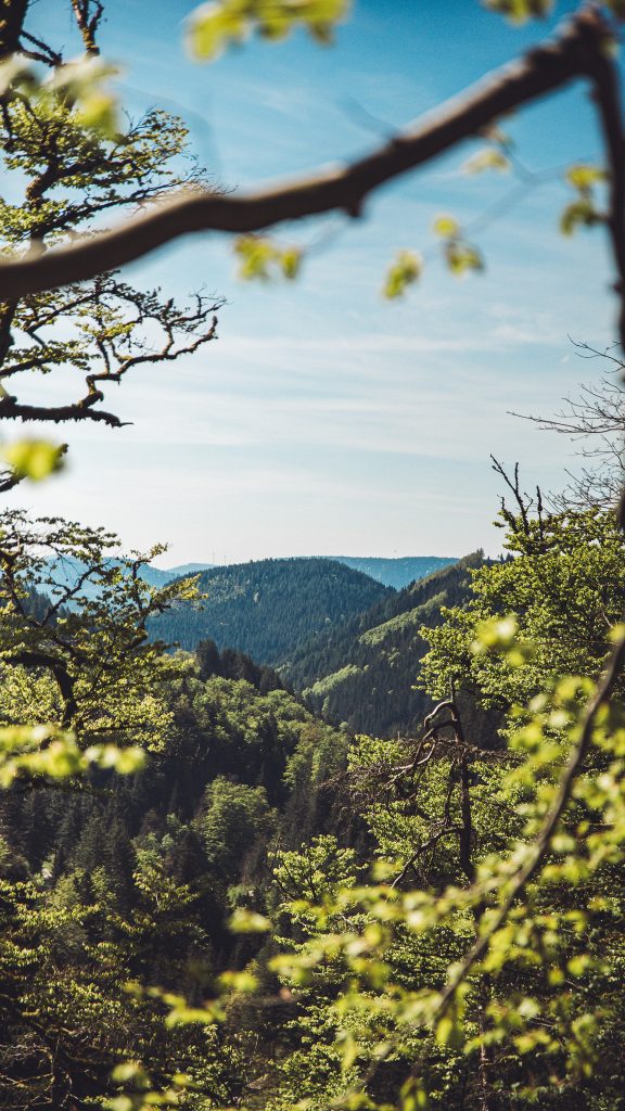 Schwarzwald, Aussicht, Natur, Panorama, Wald, Ruhe, Wandern, Allerheiligen