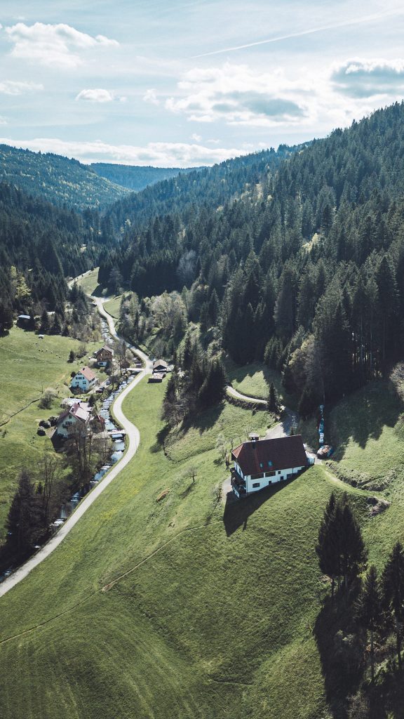 Blick vom Natur-Camp Tannenfels auf bewaldete Hügel unter bewölktem Himmel im Schwarzwald