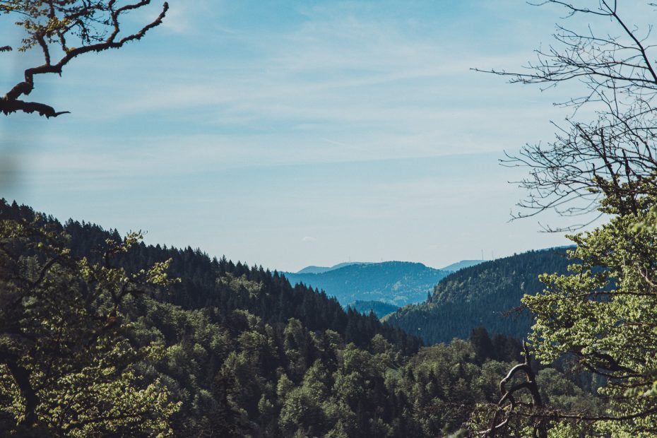 Allerheiligen, Schwarzwald, Talblick, Naturgenuss, Aussichtspunkt, Wandertipp, Waldliebe