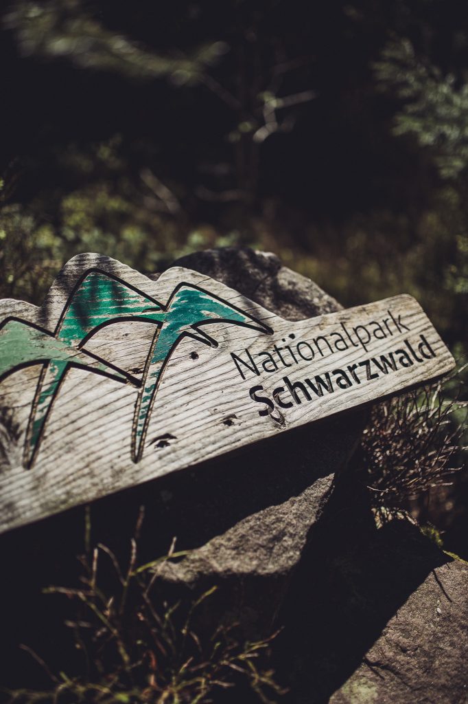Holzbohlenweg am Lotharpfad im Schwarzwald