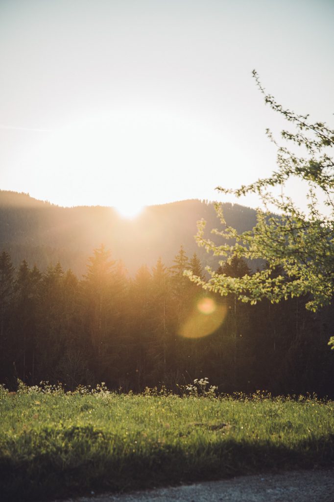 Sonne sinkt hinter die Schwarzwald-Berge mit leuchtender Abendstimmung und Natur im Vordergrund