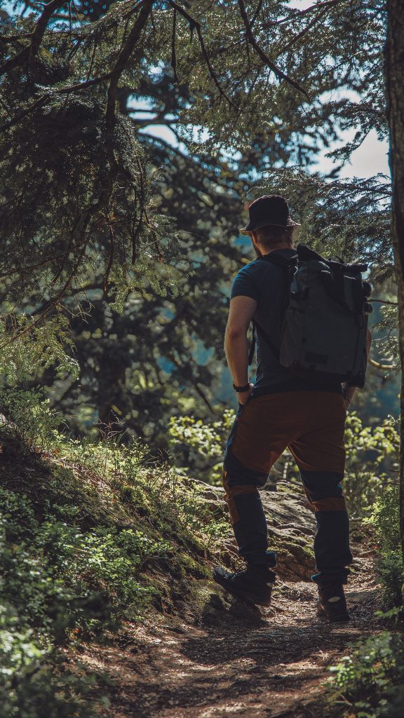 Wandern, Waldpfad, Outdoor, Schwarzwald, Ruhe, Erlebnis, Natur, Allerheiligen