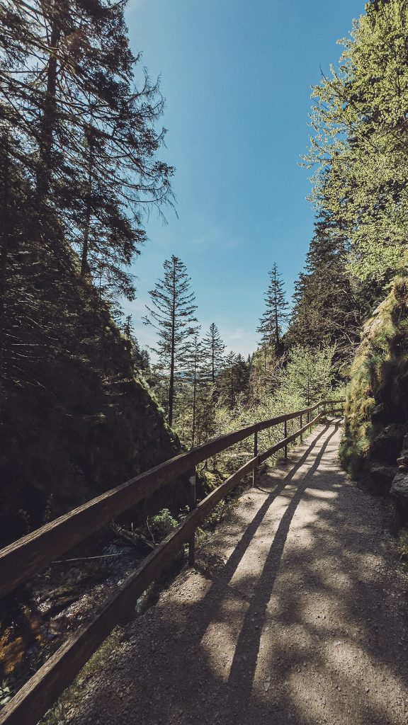 Wanderweg, Schwarzwald, Lichtspiel, Naturweg, Allerheiligen, Wandertour, Ruheort, Waldstimmung