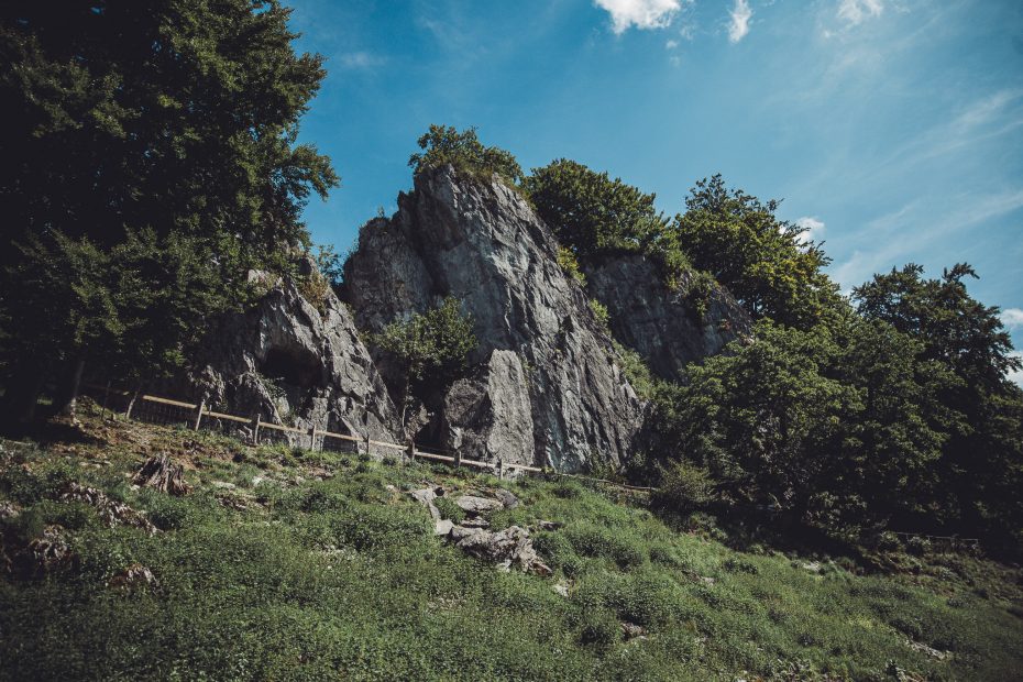 Bielsteinfelsen im Wildpark Warstein mit blauem Himmel und grüner Wiese im Vordergrund.