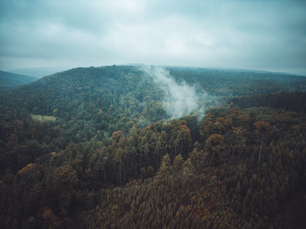 Drohnenaufnahme mit Nebel über bewaldeten Hügeln im Niemetal.