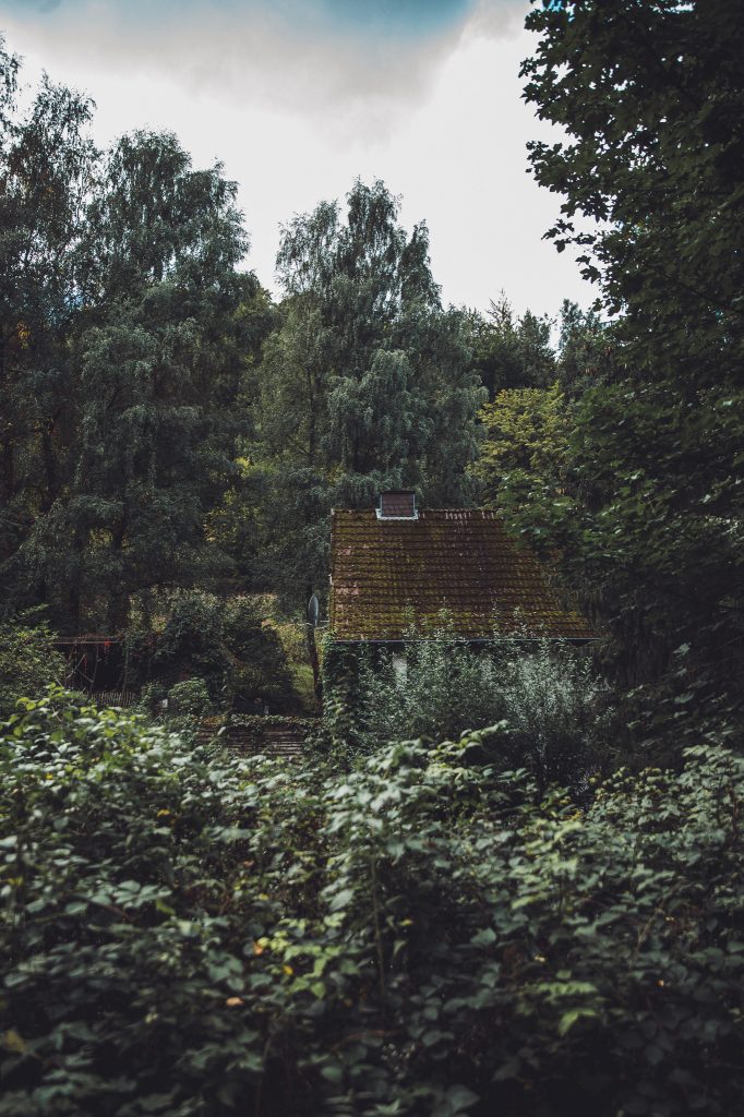 Haus mit moosigem Dach, umgeben von dichtem Grün und Bäumen in Heiligenkirchen