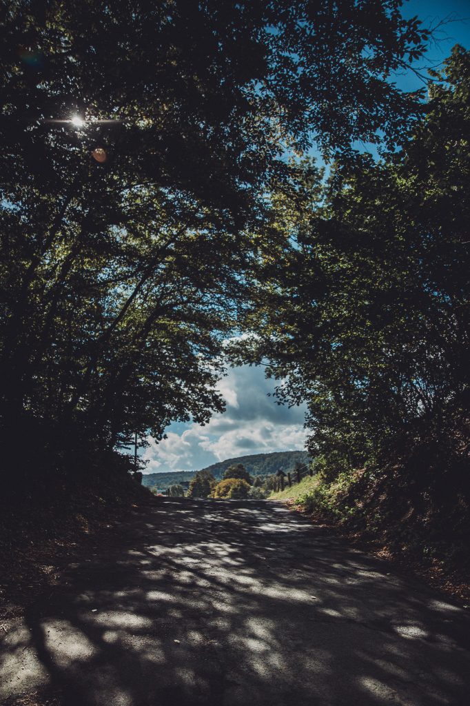 Asphaltierter Waldweg bei Heiligenkirchen mit Sonnenstrahlen und Blick ins Tal bei Berlebeck