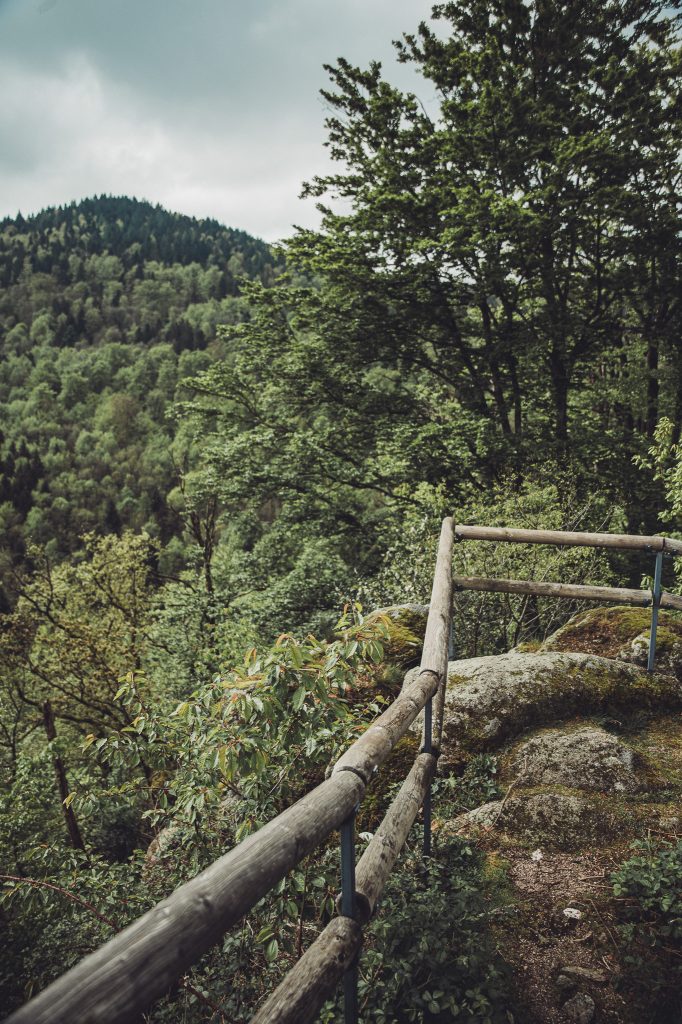 Holzgeländer mit Aussicht auf bewaldete Hügel im Schwarzwald