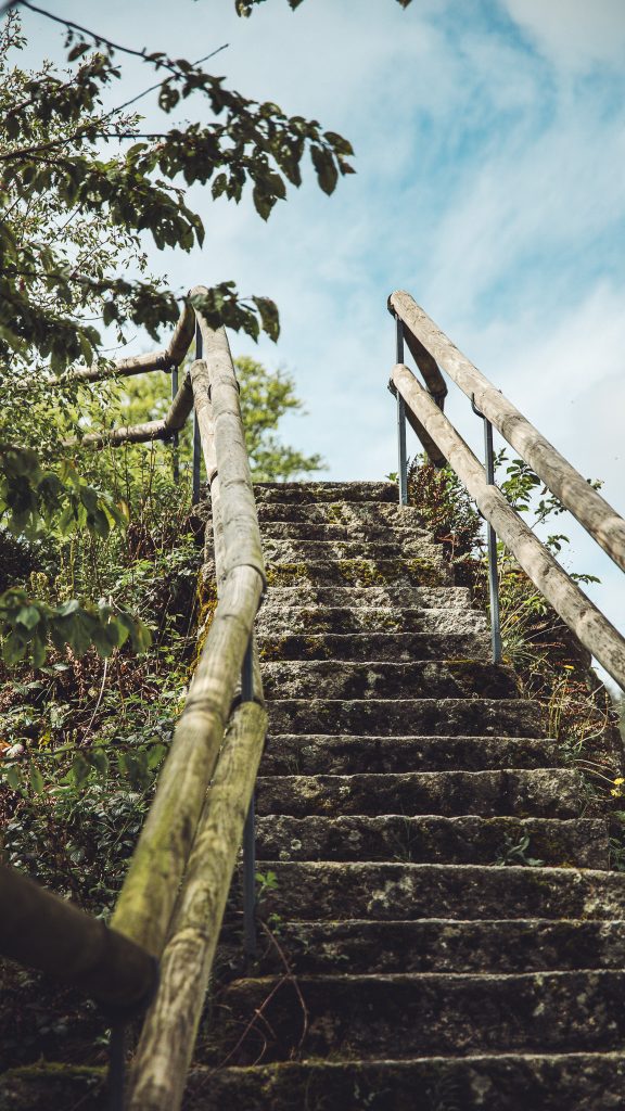 Steintreppe mit Holzgeländer im Schwarzwald, die durch dichten Wald nach oben führt