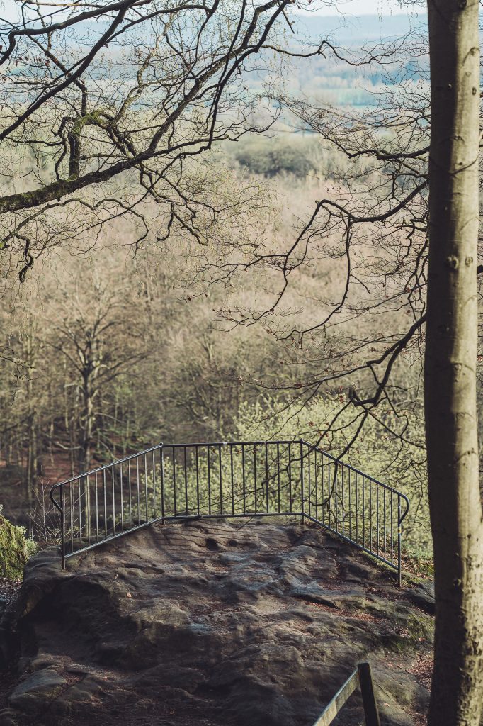 Aussichtspunkt mit Geländer im Wald nahe der Externsteine im Teutoburger Wald