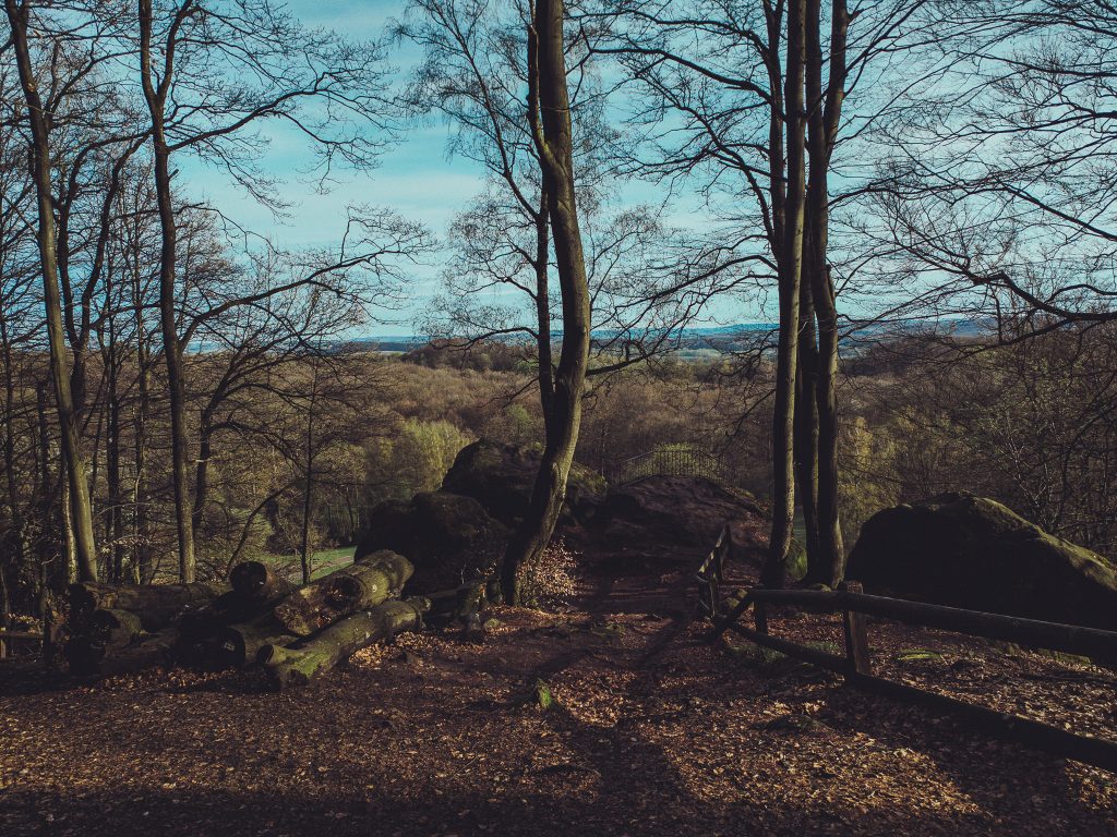 Weitblick über die bewaldete Landschaft bei den Externsteinen in Lippe