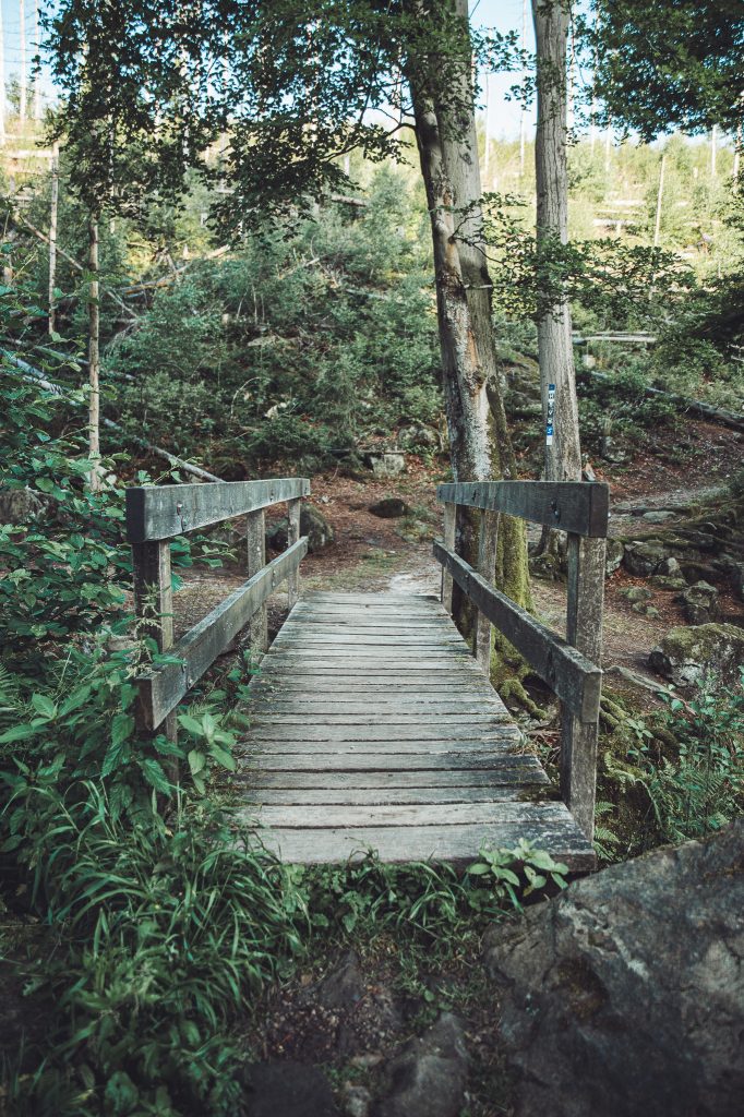 Schmale Holzbrücke auf dem Wanderpfad zum Velmerstot im Eggegebirge