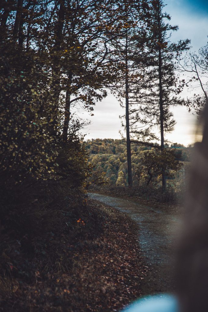 Waldweg mit Blick ins Tal nahe dem Hermannsdenkmal in Lippe