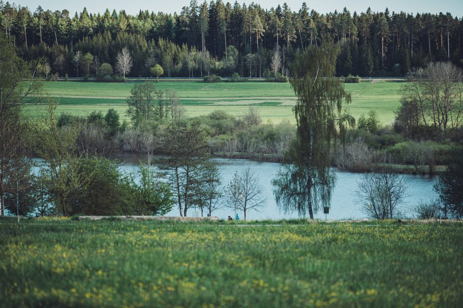 Panorama aus Wiesen, Bäumen und Kirnbergsee vor dichtem Schwarzwald.