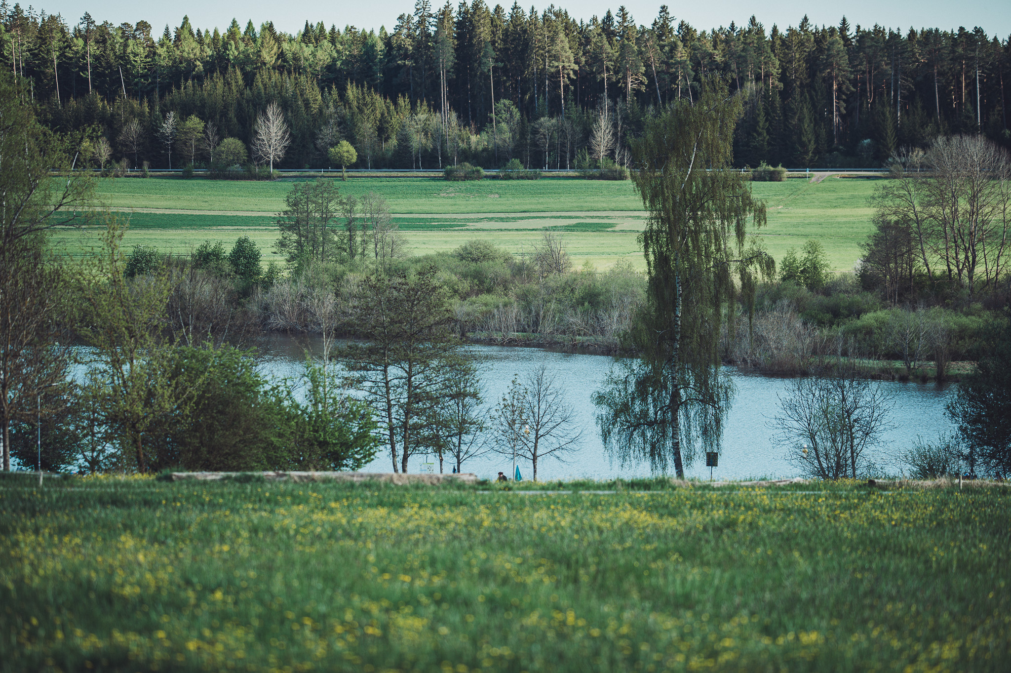 Panorama aus Wiesen, Bäumen und Kirnbergsee vor dichtem Schwarzwald.