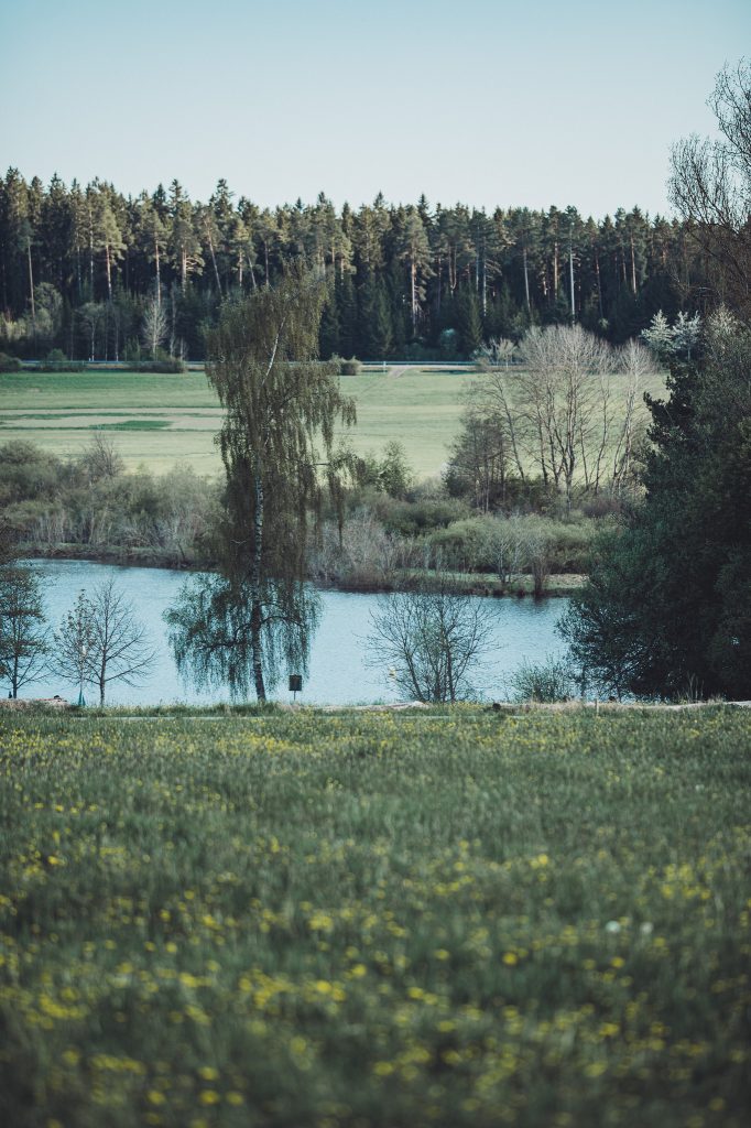 Weite Wiesenlandschaft mit Blick auf den Kirnbergsee und den Schwarzwald.