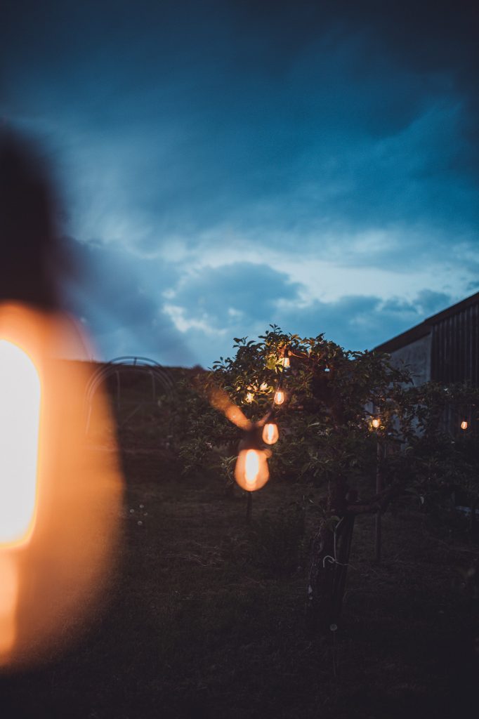 Lichterkette in den Bäumen des Weinguts Holzwarth bei Abendhimmel in der blauen Stunde.