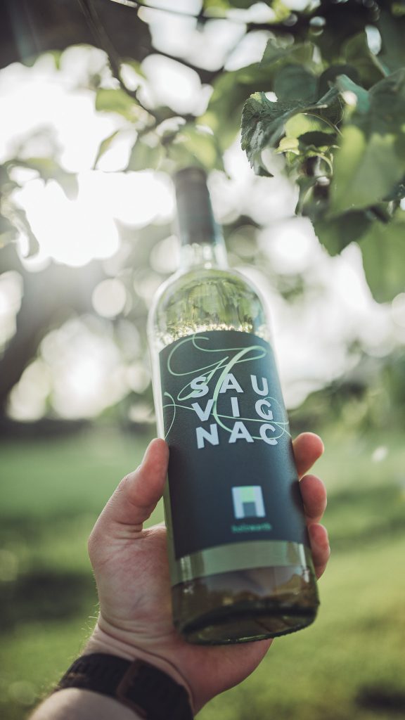 Hand hält eine Flasche Sauvignac unter einem Baum mit weichem Sonnenlicht im Hintergrund.