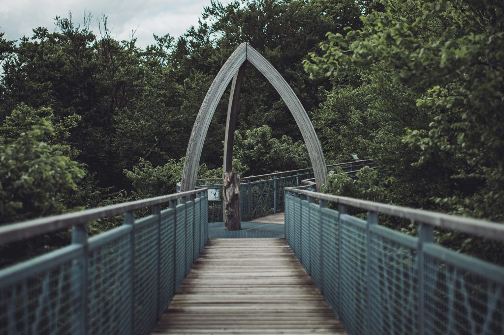 Arco de madera y pasarela en el sendero de las copas de los árboles en el Parque Nacional Kellerwald-Edersee