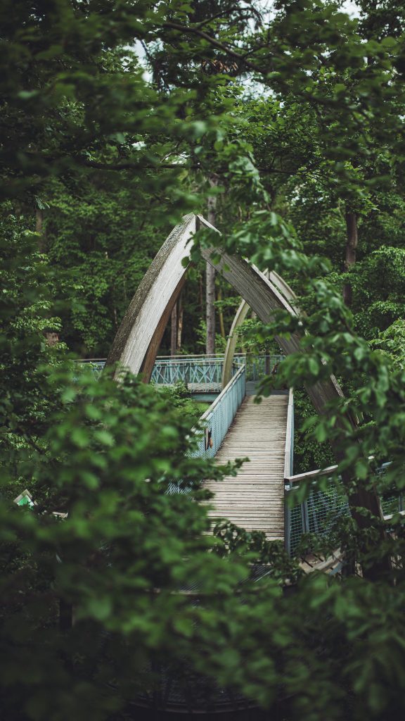 Baumwipfelpfad mit Holzbögen zwischen grünen Baumkronen im Kellerwald-Edersee