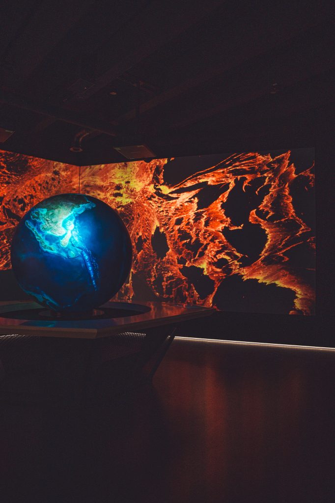 Wandinstallation mit Fotos von Insekten und Tieren in der Klimaerlebniswelt