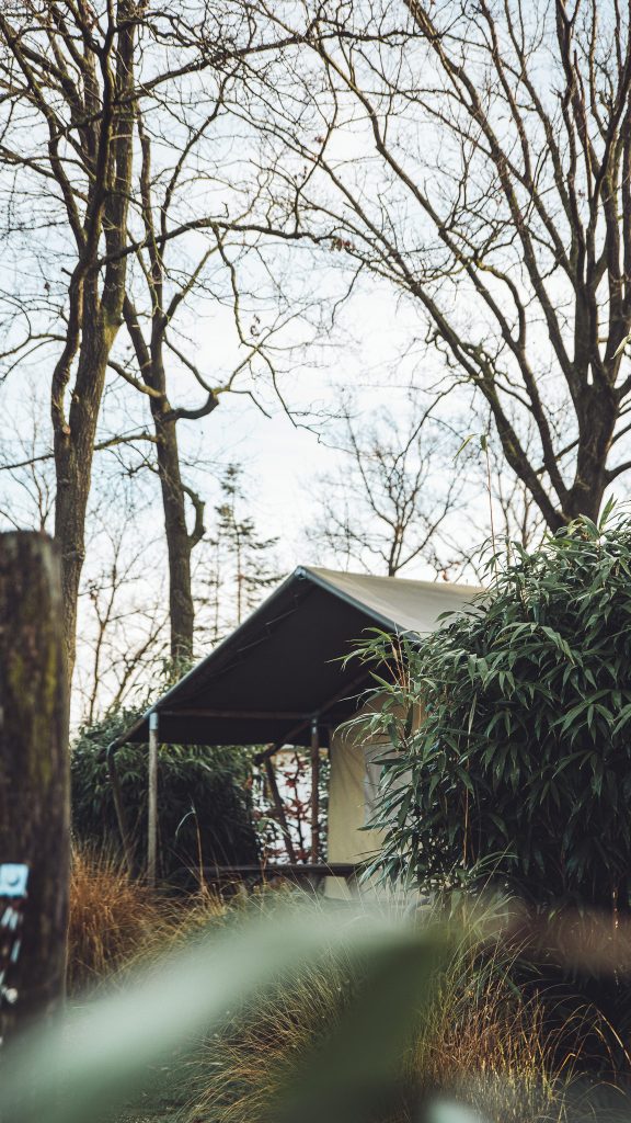 Safarizelt zwischen Sträuchern und Bäumen auf dem Camping Vreehorst