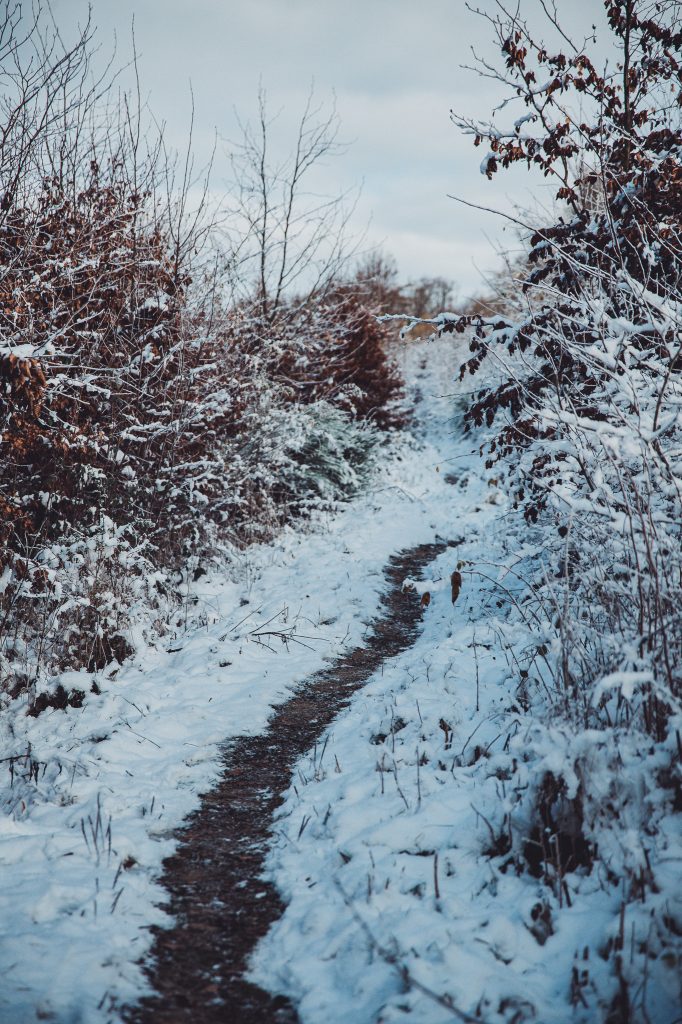 Sehr schmaler Wanderpfad durch dichtes Gebüsch mit Schnee