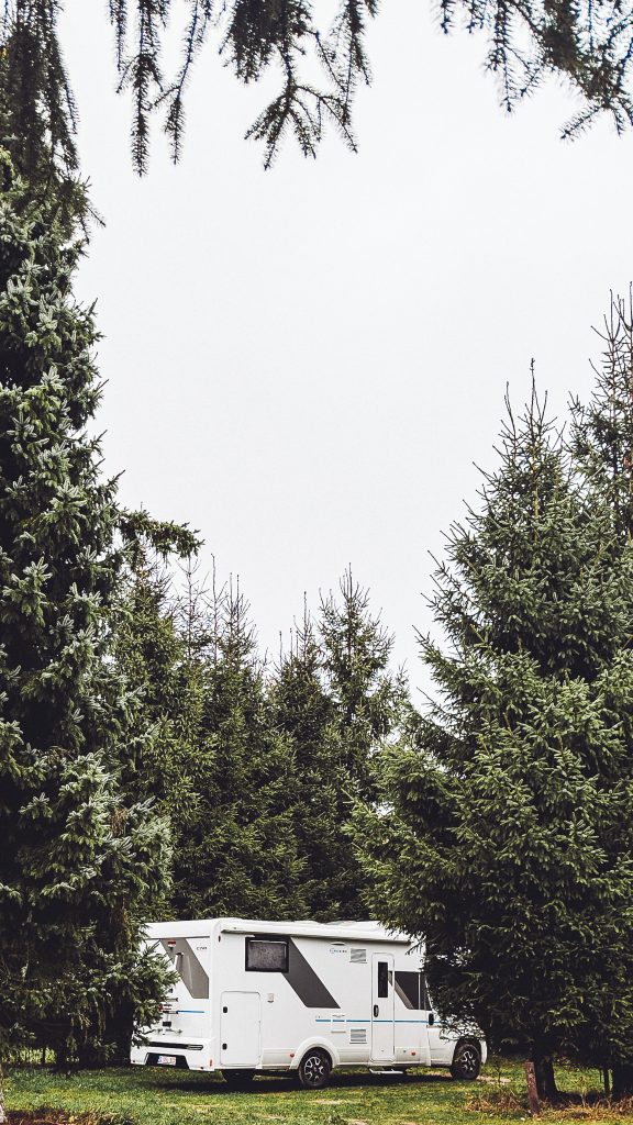 Weißes Wohnmobil auf grünem Stellplatz zwischen hohen Fichten am Camping des Charmilles in Belgien nahe dem Naturpark Hohes Venn