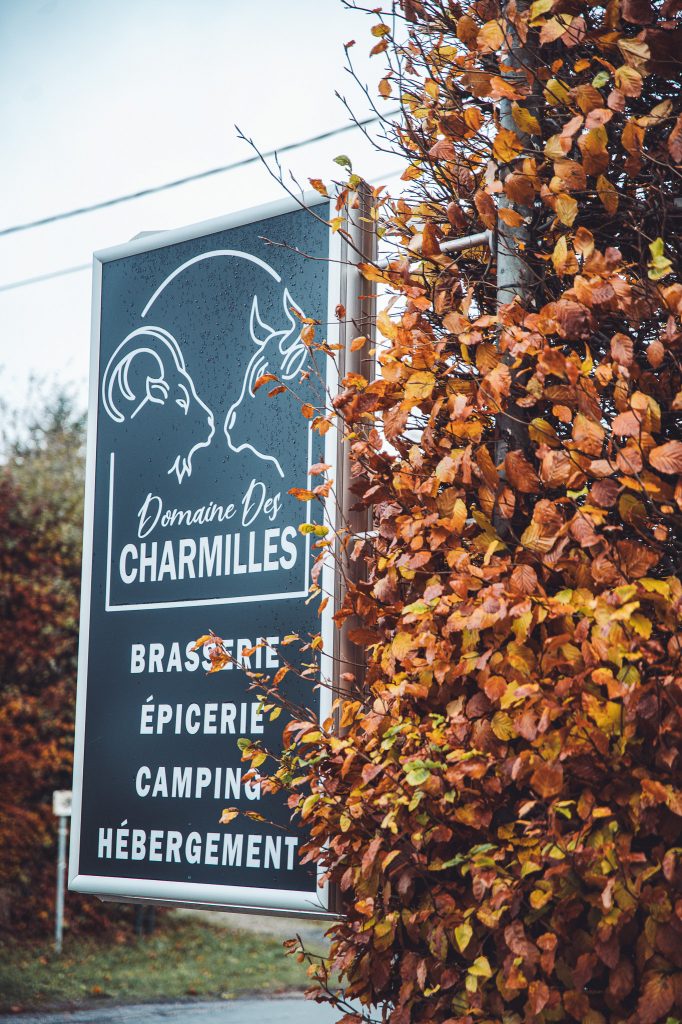 Weißes Wohnmobil auf grünem Stellplatz zwischen hohen Fichten am Camping des Charmilles in Belgien nahe dem Naturpark Hohes Venn