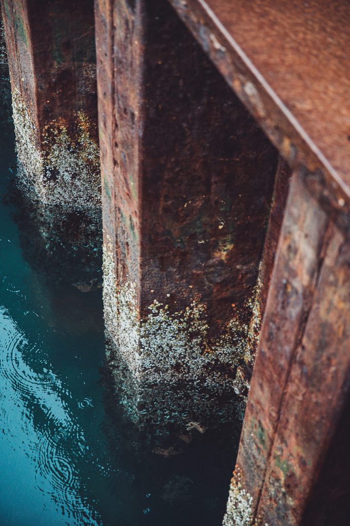Rostiger Hafenpoller mit Muscheln und Wasser im Hafen von Reykjavík
