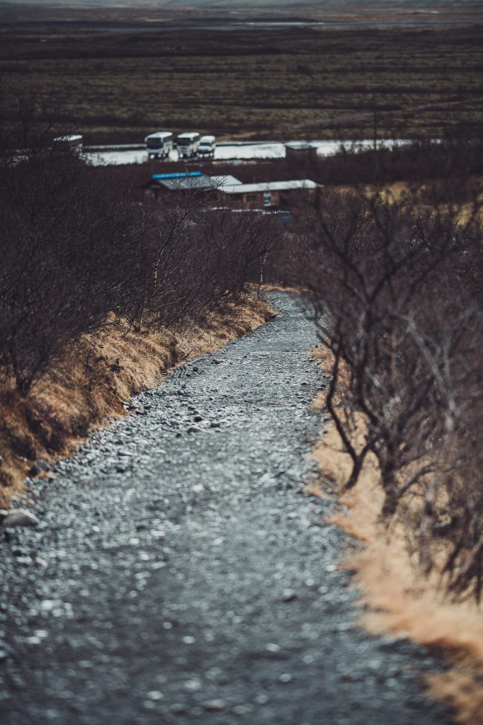 Schmaler Wanderpfad durch Buschlandschaft nahe Vatnajökull Nationalpark in Island