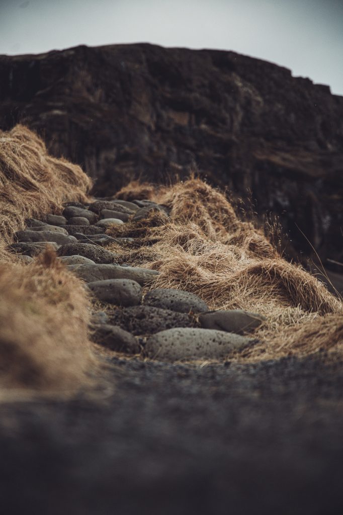 Steiniger Pfad mit trockenem Gras vor dunklen Felsen bei Dverghamrar in Island