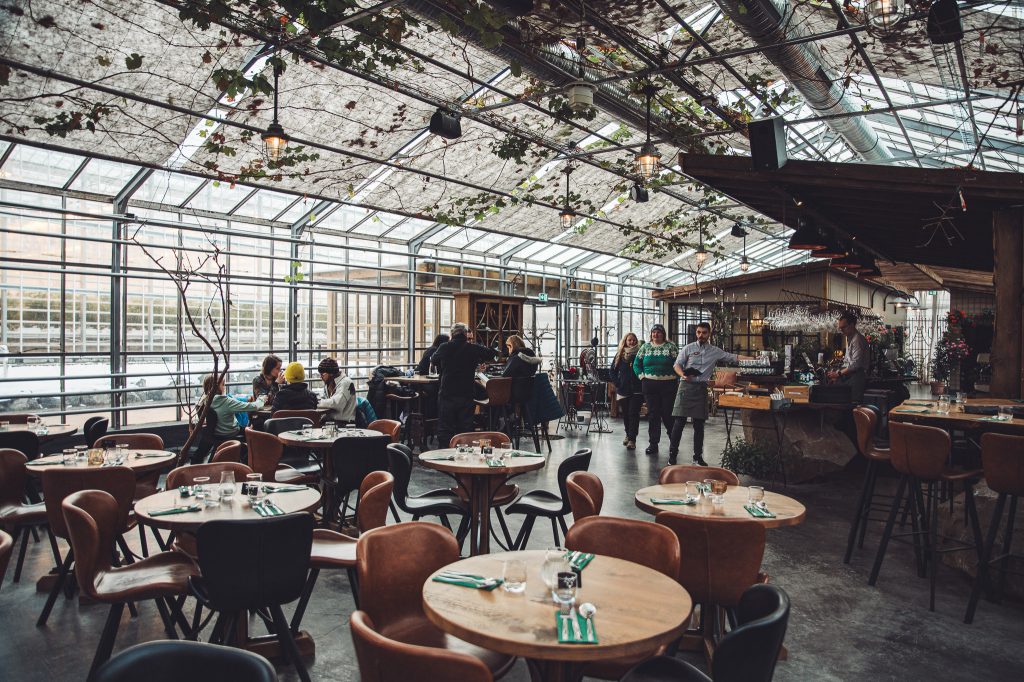 Innenraum des Bistros von Friðheimar mit Tischen, Gästen und Glasdach im Gewächshaus