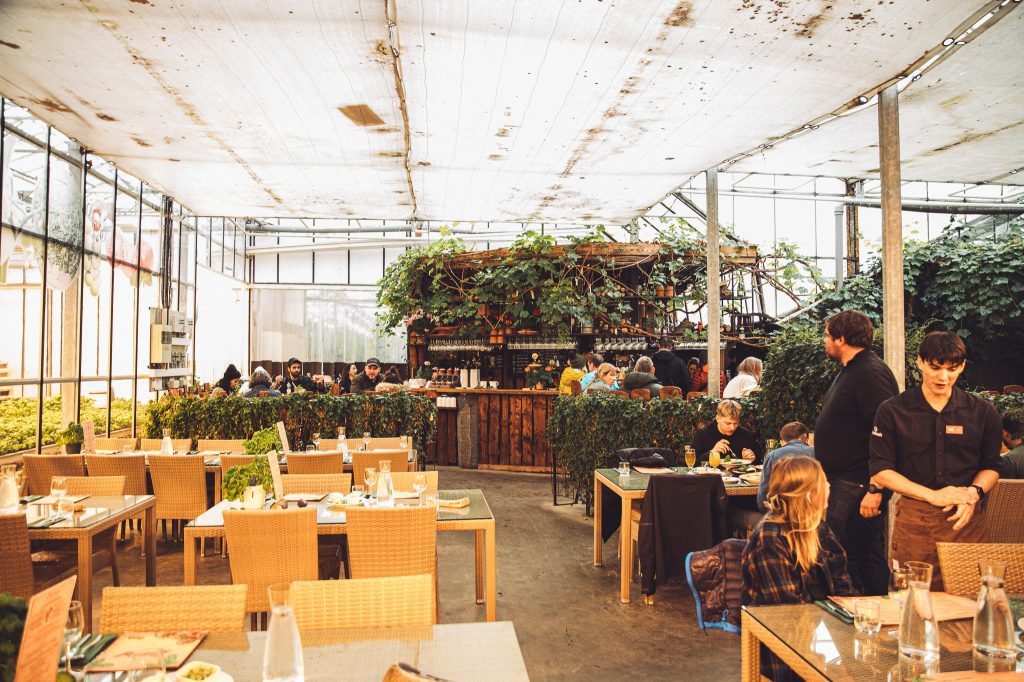 Restaurantbereich im Gewächshaus von Friðheimar mit Tischen, Gästen und viel Grün