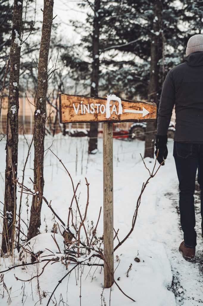 Holzschild mit Richtungspfeil im Schnee auf dem Gelände von Friðheimar bei Flúðir
