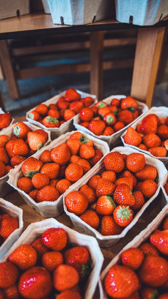 Frische Erdbeeren in Pappschalen im Hofladen vom Erlebnishof Lahmann, gekauft für eine Brotzeit beim Camping.