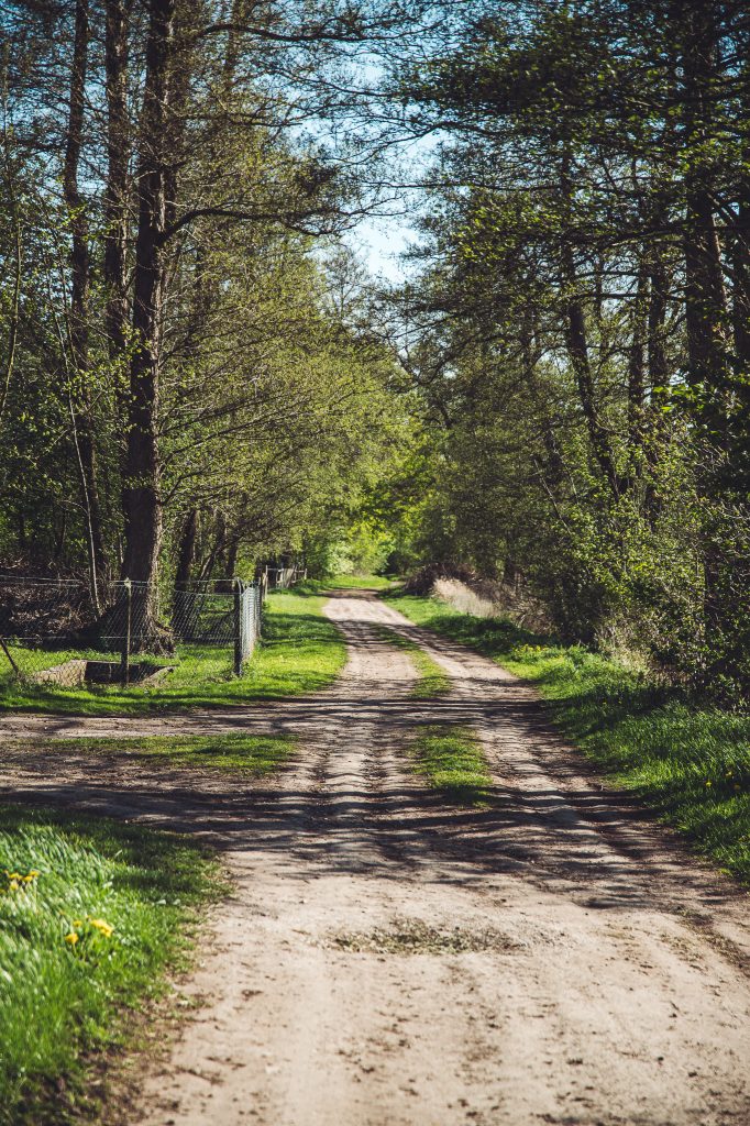 Sandiger Spazierweg mit Bäumen und Grün am Erlebnishof Lahmann, passend für einen ruhigen Rundgang mit Kind.
