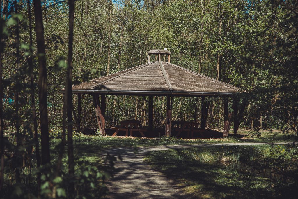 Überdachter Holzpavillon am See im Otterzentrum Hankensbüttel, umgeben von Wald und schattigen Wegen.