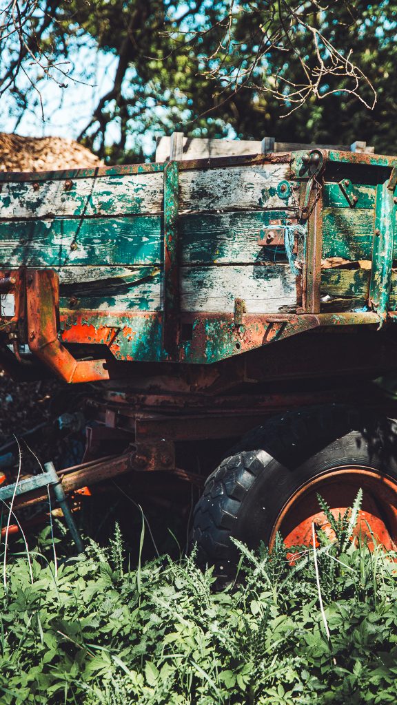 Rusty, weathered green trailer with peeling paint, surrounded by tall weeds and plants in a sunny outdoor setting.