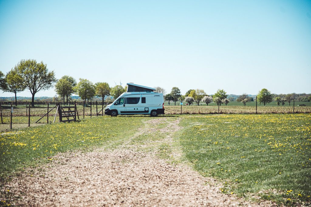 Weißer Camper auf dem Stellplatz von Blümels Hof bei Buxtehude neben einer Wiese mit Löwenzahn
