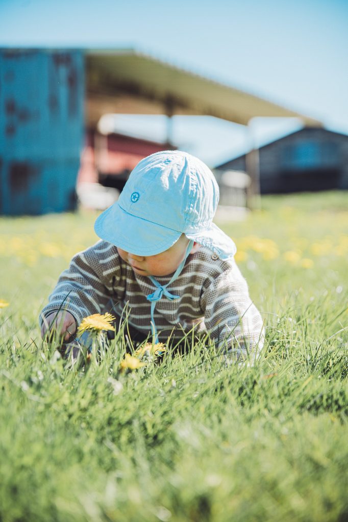 Baby sitzt auf einer Wiese mit Löwenzahn auf dem Eichenhof Grauel