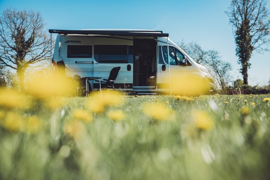 Camper auf grüner Wiese mit gelben Blumen am Eichenhof in Grauel