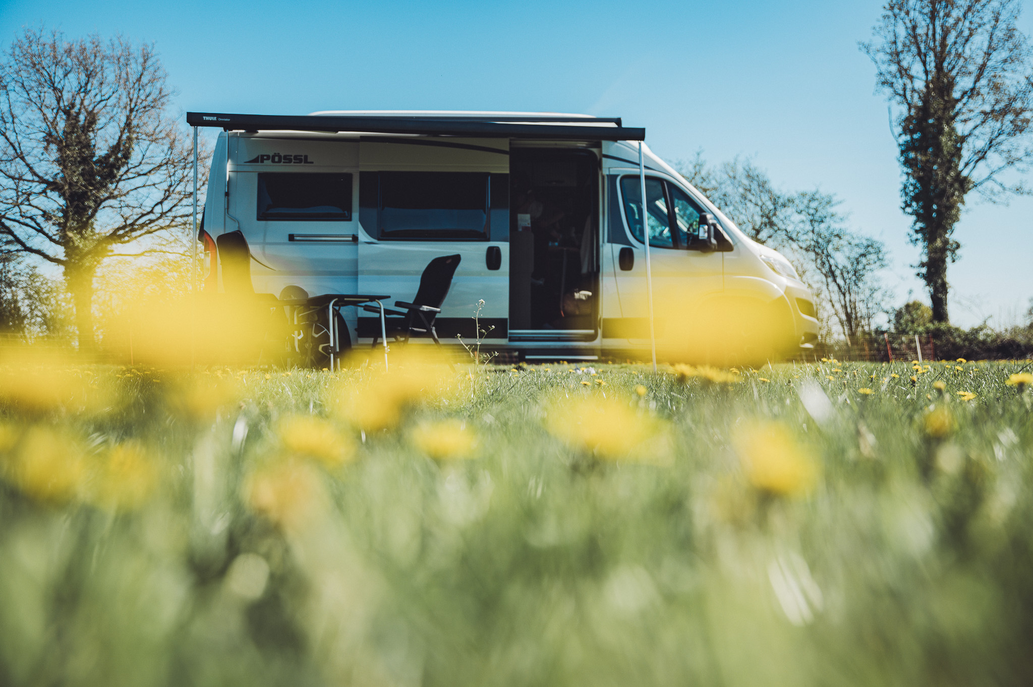 Camper auf grüner Wiese mit gelben Blumen am Eichenhof in Grauel